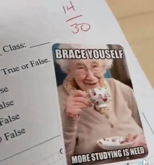 Thay giao tha meme vao bai kiem tra khien hoc tro cuoi muon xiu-Hinh-3