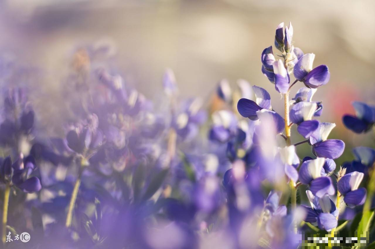 Sinh trung 3 ngay Am lich nay, sang thang 9 Am van su khoi sac-Hinh-3