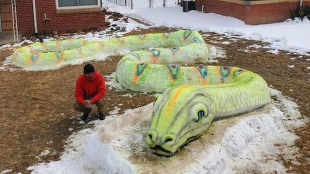 Mot gia dinh o My dap con ran khong lo bang tuyet