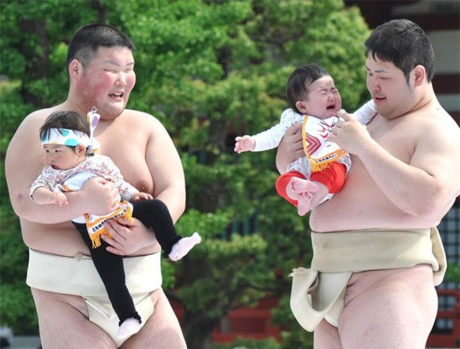 Cứ đến tháng Tư, du khách đến với Nhật Bản sẽ được tham dự lễ hội Naki Sumo có "một không hai" được tổ chức trong khuôn viên ngôi chùa Sensoji, Tokyo