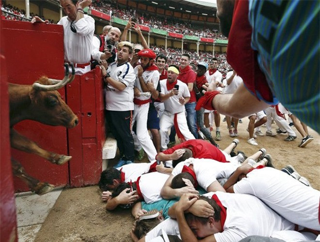 Lễ hội chạy trốn bò mộng ở Tây Ban Nha khai mạc vào ngày 7-7 hàng năm nhằm tôn vinh Sam Fermin, thánh bảo hộ của vùng Navarra
