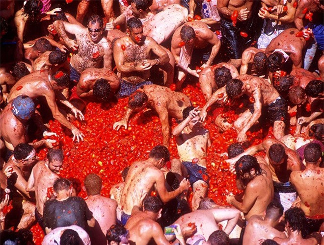 Có thể nói, đây là một cuộc đại chiến vui nhộn với hàng tấn cà chua chín đỏ được chuẩn bị sẵn sàng. Người tham gia thỏa sức tấn công nhau bằng những trái cà chua chín mọng cho đến khi toàn thân ướt đẫm một màu đỏ
