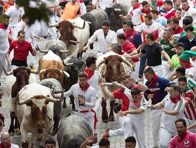 Người tham dự sẽ chạy cùng lũ bò mộng hung hăng trên con phố Pamplona. Những con bò sẵn sàng húc bất kỳ ai cản đường
