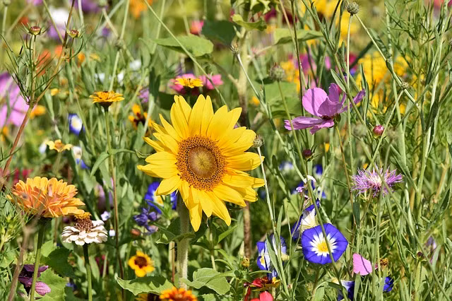 Sinh ngay Am lich nay vuong van quy nhan, kho khan luon duoc hoa giai-Hinh-2