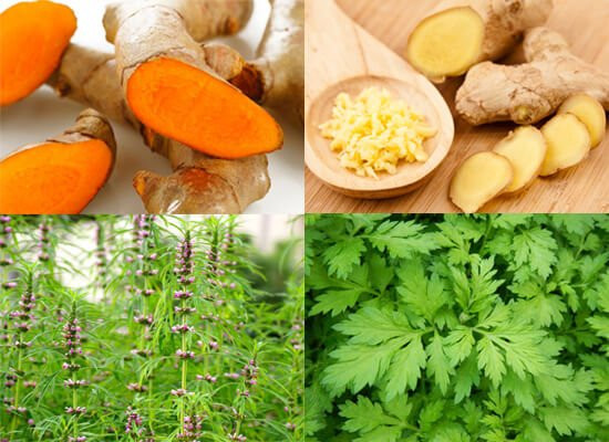 Đau bụng kinh: Lương y mách cách trị tận gốc với gừng - Hình 2 Dau bung kinh: Luong y mach cach tri tan goc voi gung-Hinh-2