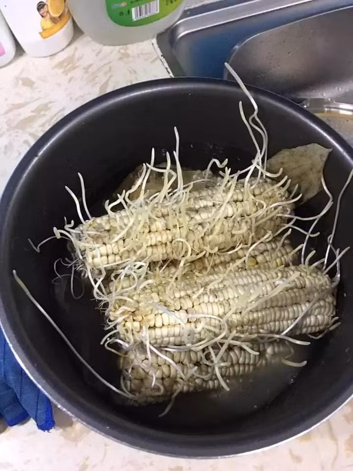 Bo quen bap trong noi va loat rau cu 