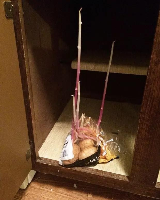 Bo quen bap trong noi va loat rau cu 