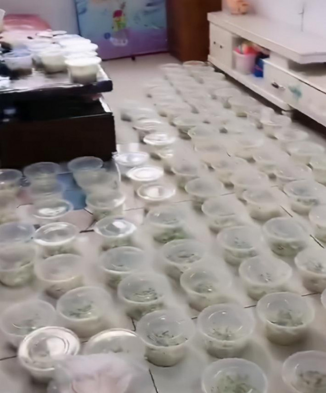 Con gái tự ý đặt 100 tô mì, phụ huynh có cách xử lý tuyệt vời Con gai tu y dat 100 to mi, phu huynh co cach xu ly tuyet voi