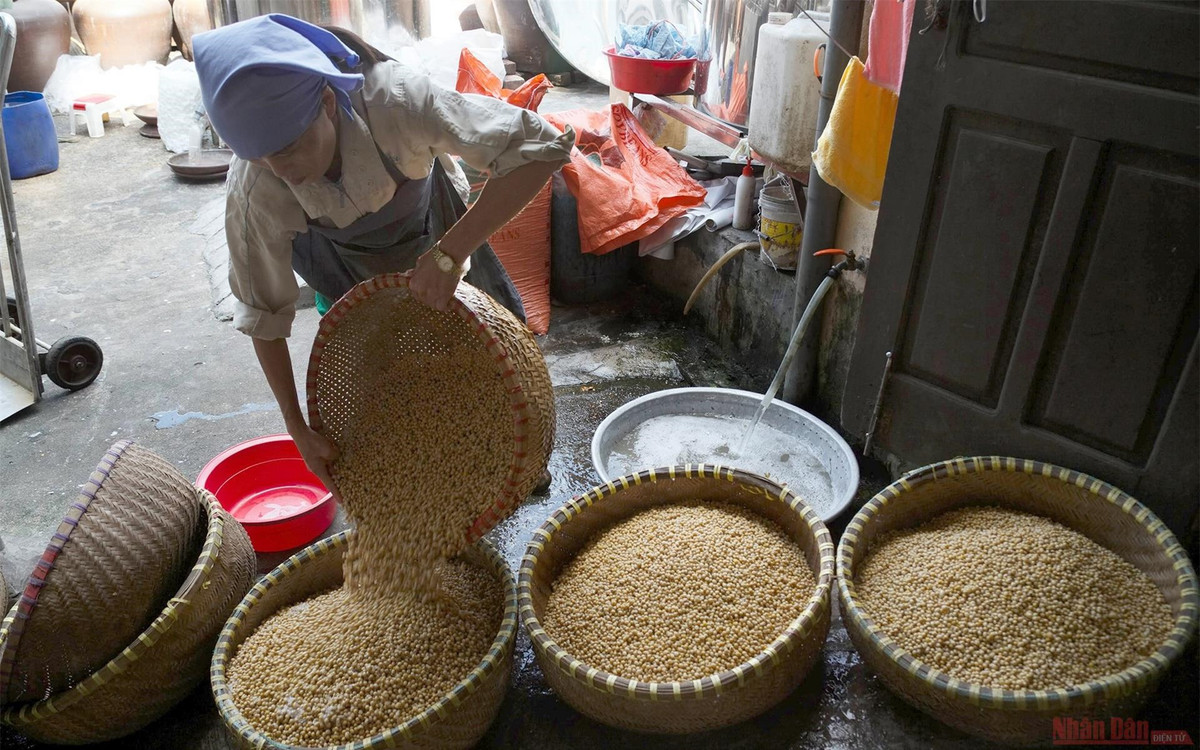 Nguyên liệu làm tương Bần không khó kiếm, nhưng công đoạn làm tương cực kỳ công phu và mất thời gian. Hơn nữa, để có những bát tương vàng ươm, thơm nức và ngọt đòi hỏi kỹ thuật và kinh nghiệm của từng hộ gia đình.