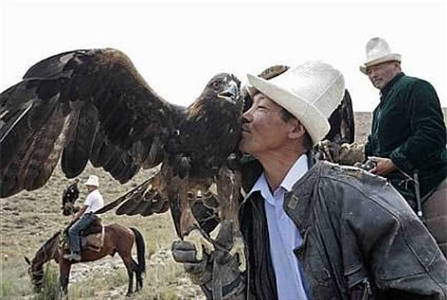 Con soi xam khuat phuc truoc mong vuot dai bang-Hinh-6