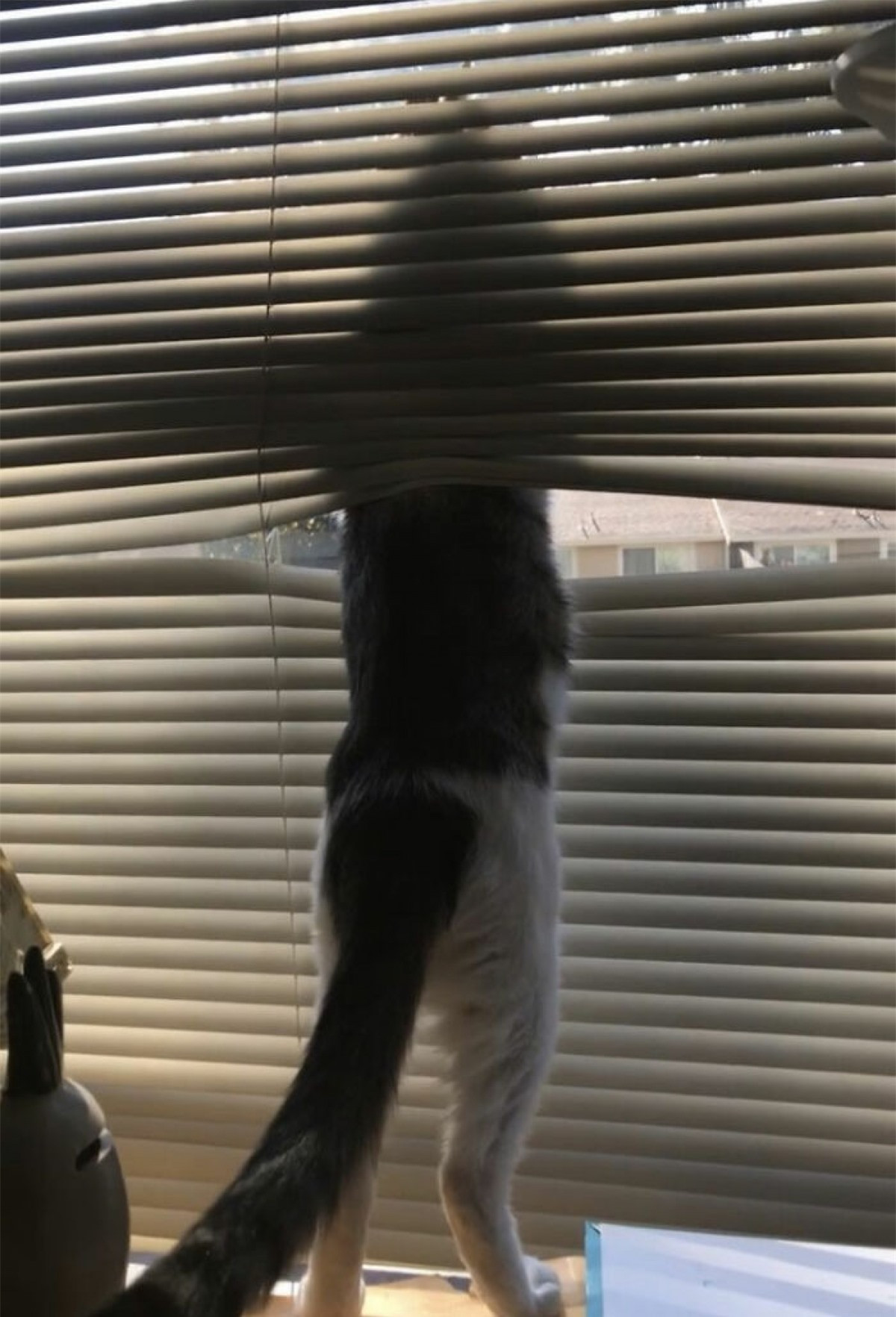 br/> Thiếu điều chạy ra ngoài thôi. 