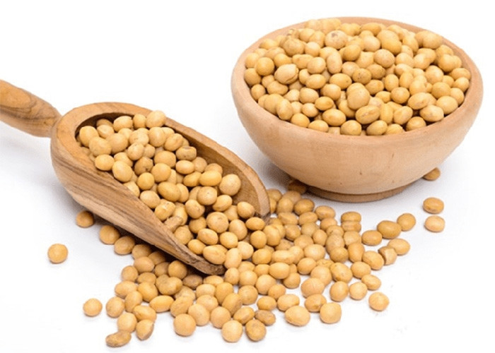 Top 7 loại thực phẩm vàng tốt cho sức khoẻ sinh sản - Hình 2 Top 7 loai thuc pham vang tot cho suc khoe sinh san-Hinh-2