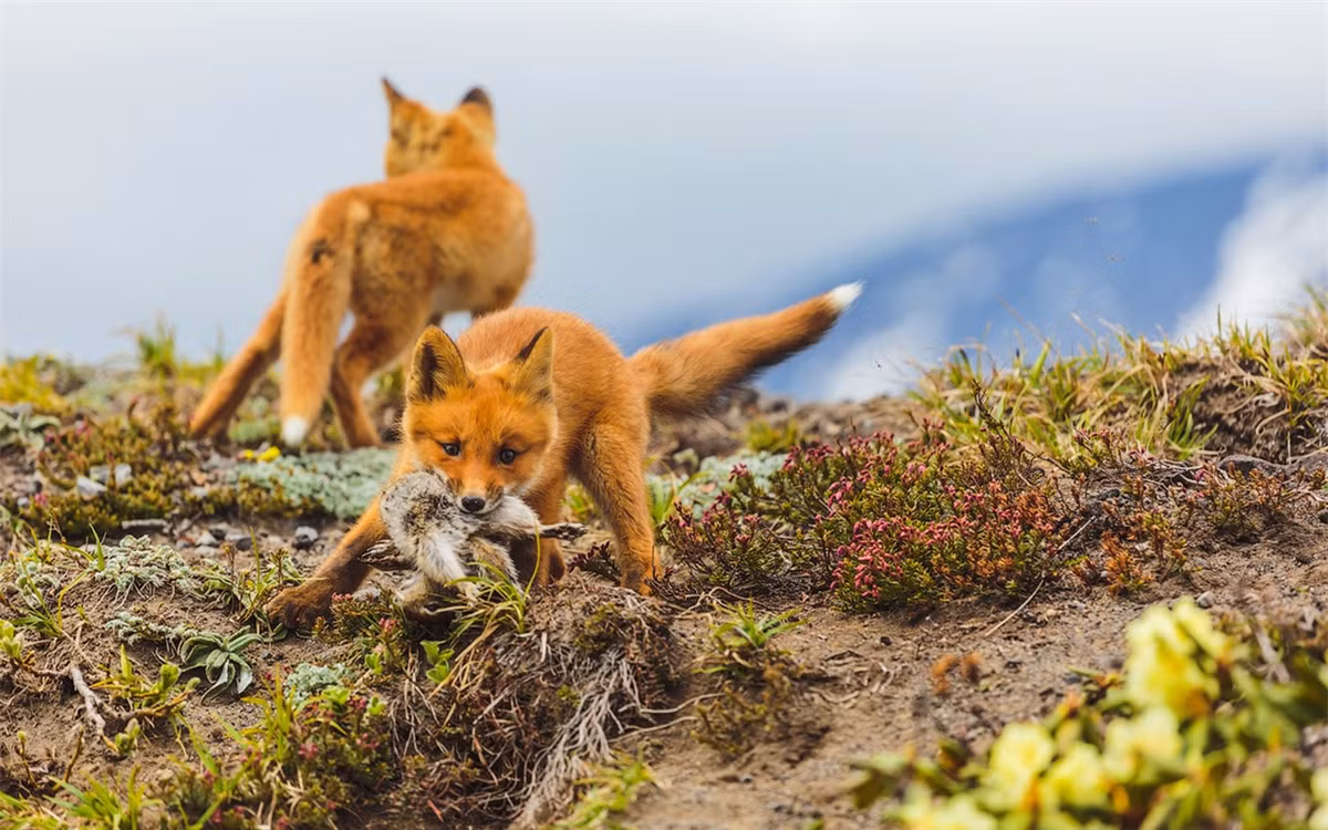 Còn vùng Chukotka, Anadyr cách Moscow, Nga khoảng 6.186km. (ảnh :Alexander Sidontsev/RBTH).