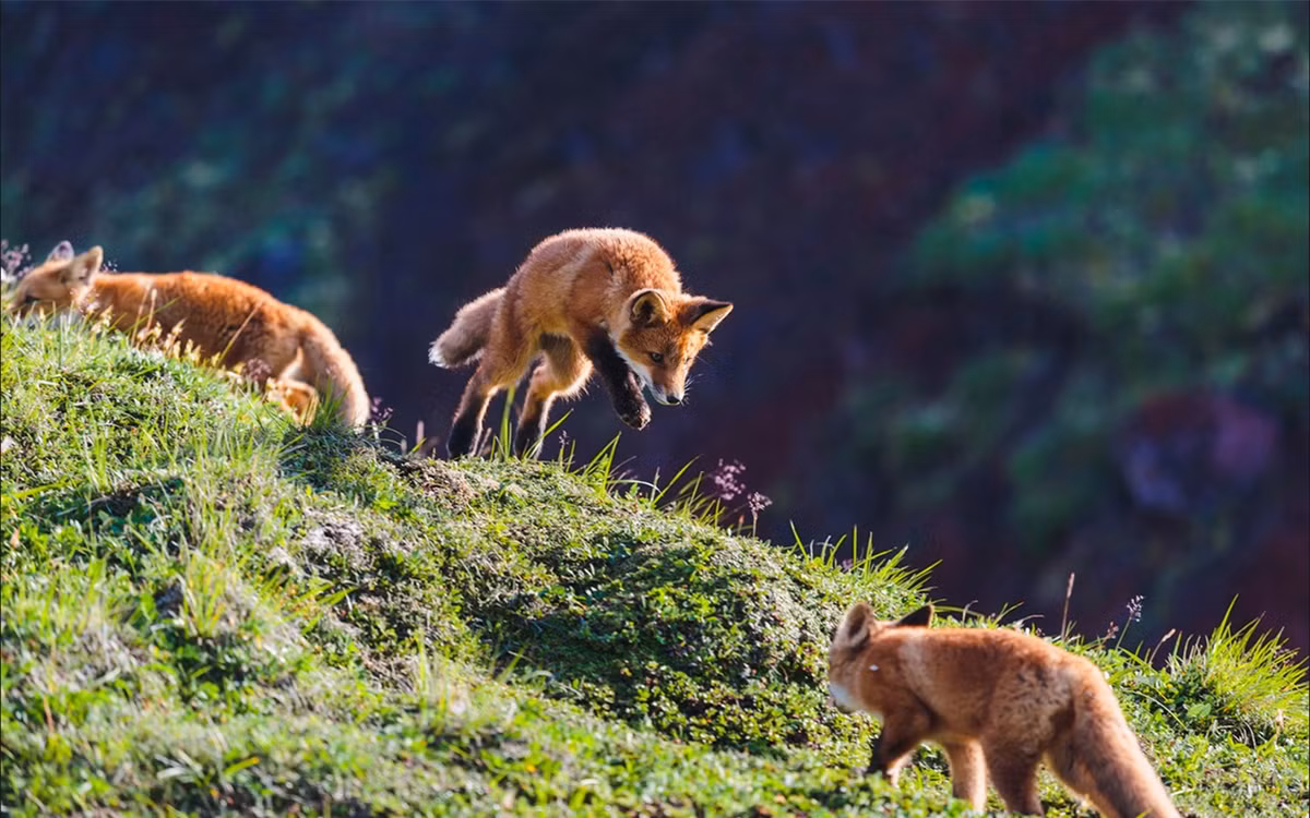 Vùng Kamchatka cách thủ đô Moscow, Nga khoảng 6.515km. (ảnh :Alexander Sidontsev/RBTH).