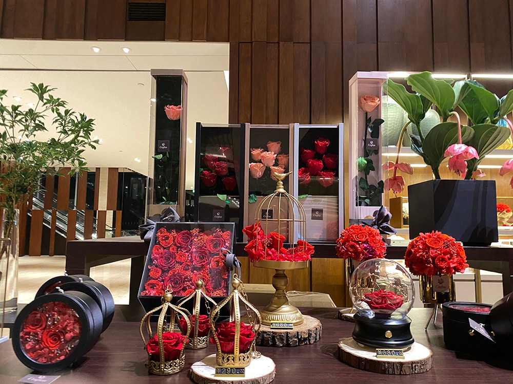 Co gai Trung Quoc noi tieng nho thu thach 21 ngay khong tieu tien-Hinh-4