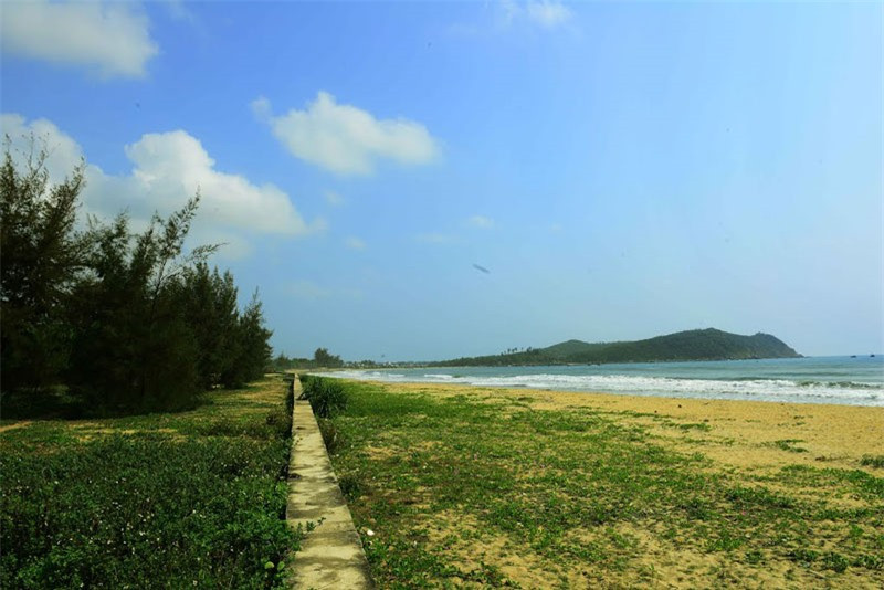 Bãi biển Sa Huỳnh chạy dài khoảng 5km. Nó nổi tiếng với nét thơ mộng, hoang sơ với nét quyến rũ của triền cát vàng óng ả và mềm mịn, điểm xuyến những thảm cỏ xanh, hoa dại, cùng hàng dương đã nhiều năm tuổi... như mời gọi lữ khách gần xa. Ảnh: Nghia Nguyen Duc.