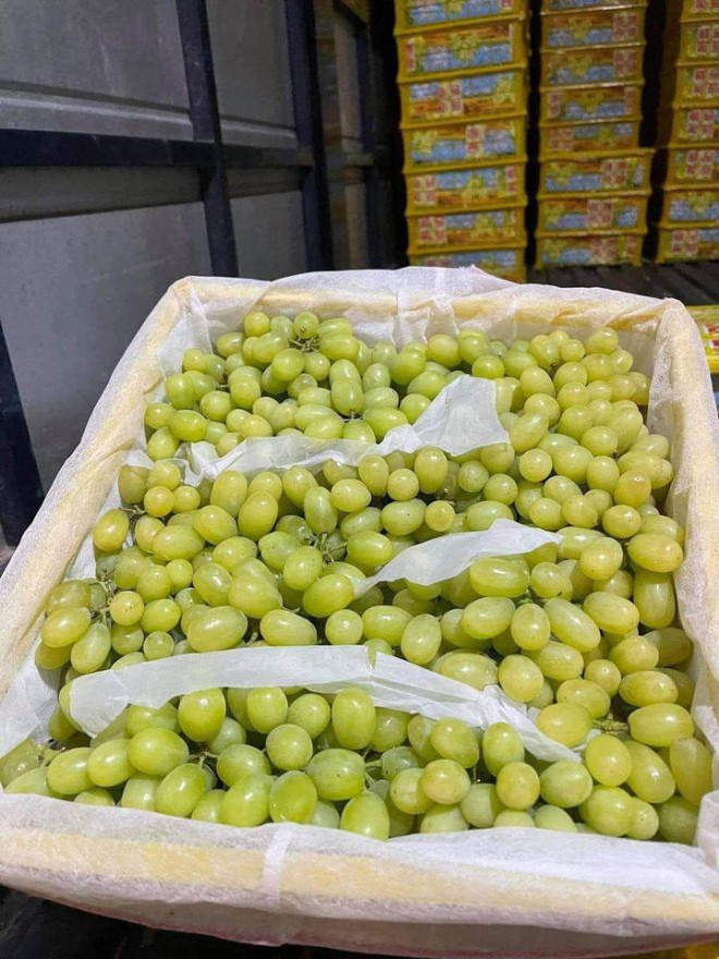 Nho Trung Quoc lam mua, lam gio thi truong cho hoa qua online-Hinh-2