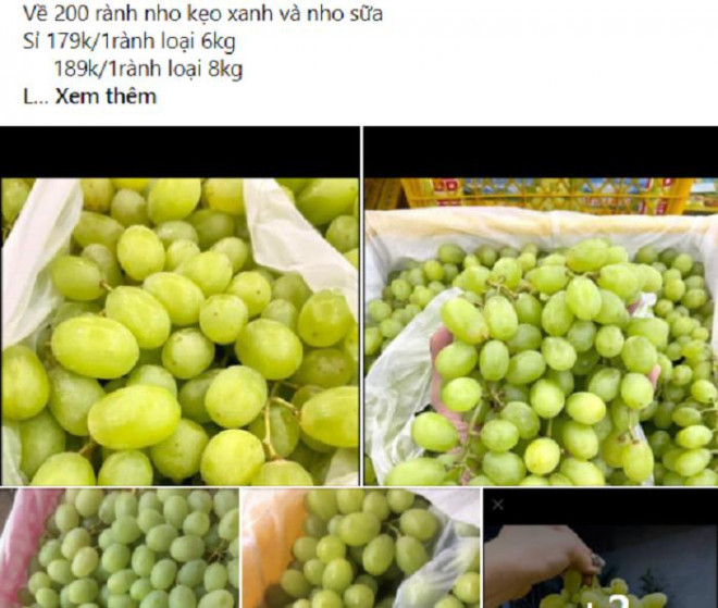 Nho Trung Quốc làm mưa, làm gió thị trường chợ hoa quả online Nho Trung Quoc lam mua, lam gio thi truong cho hoa qua online