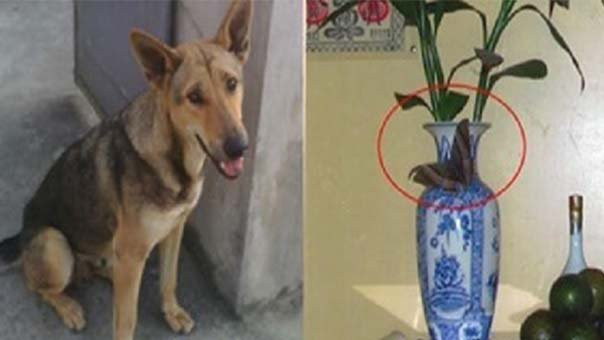 13 dau hieu bao buoc chan ra ngoai la dap trung hu vang hu bac