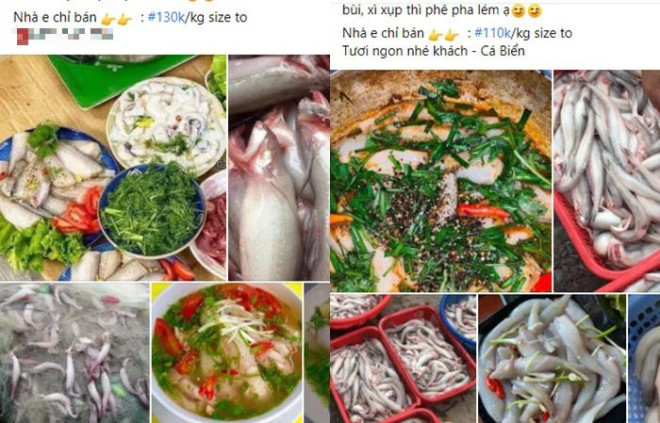 Cá khoai vào mùa, phủ trắng chợ mạng, tiểu thương chốt đơn liên tục - Hình 3 Ca khoai vao mua, phu trang cho mang, tieu thuong chot don lien tuc-Hinh-3