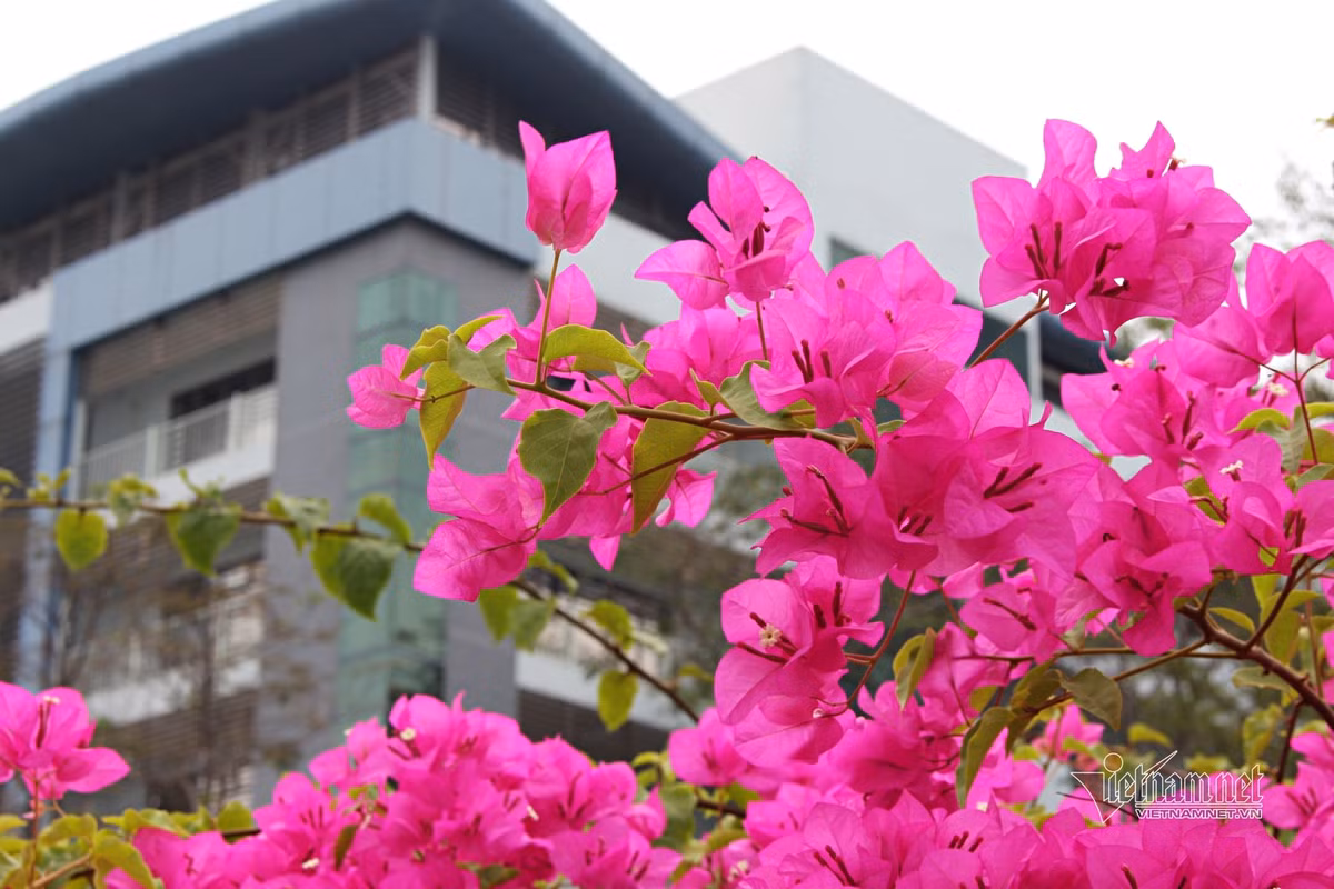 Toi trot ngoai tinh va co thai voi nguoi dan ong da co gia dinh