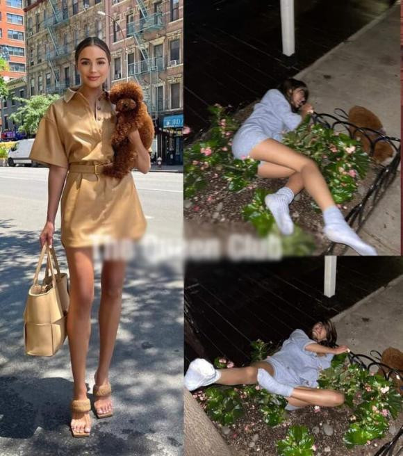 Miss Universe 2012 bi chi trich vi say xin nga nam ngay goc cay ben duong-Hinh-2