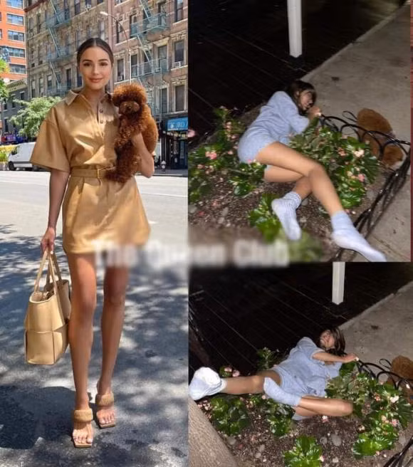 Miss Universe 2012 bi chi trich vi say xin nga nam ngay goc cay ben duong-Hinh-2