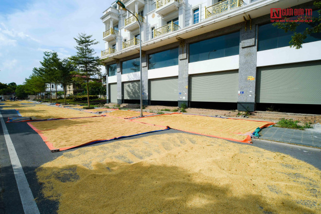 br/> Những căn shophouse nói trên thuộc khu C dự án Geleximco Lê Trọng Tấn do tập đoàn Geleximco làm chủ đầu tư.