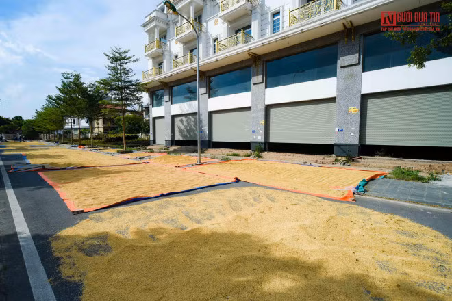 br/> Những căn shophouse nói trên thuộc khu C dự án Geleximco Lê Trọng Tấn do tập đoàn Geleximco làm chủ đầu tư.