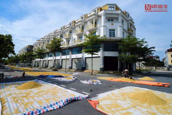 Theo như giá của mỗi căn shophouse ở đây có giá tới hàng chục tỷ đồng. Tuy nhiên, có khá nhiều căn shophouse đã xây dựng xong phần thô đang bị bỏ không.