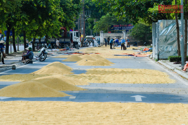 br/> Người dân tại thôn La Dương, Dương Nội cho biết, những căn shophouse ở đây đã bỏ không 2 năm nay nên đã tranh thủ phơi ở đây.