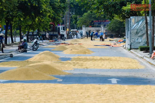 br/> Người dân tại thôn La Dương, Dương Nội cho biết, những căn shophouse ở đây đã bỏ không 2 năm nay nên đã tranh thủ phơi ở đây.