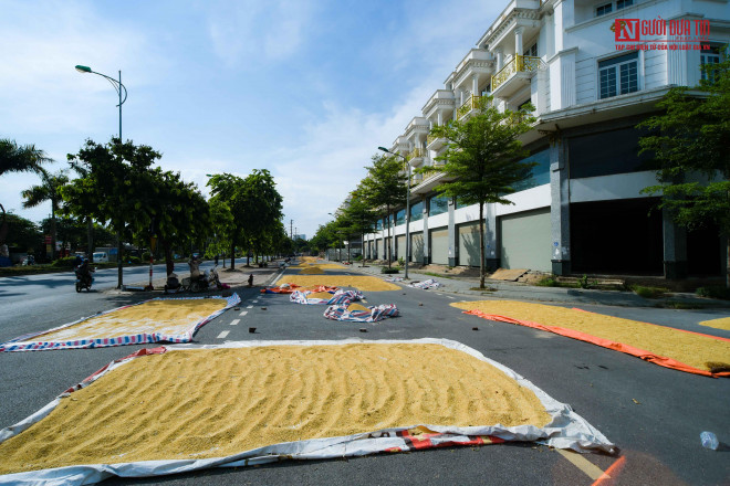 br/> Cả đoạn đường dài hàng trăm mét được tận dụng làm sân phơi thóc.