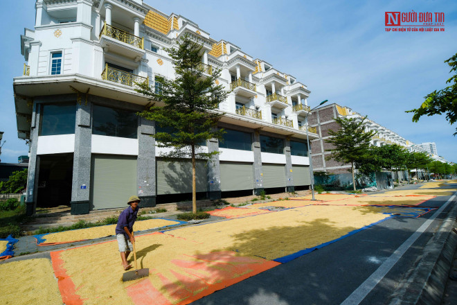 br/> Khung cảnh khá lạ mắt khi những căn nhà hàng chục tỷ đồng thành sân phơi thóc.