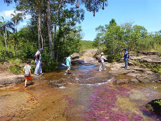 “Dòng sông này là biểu tượng môi trường của quốc gia, nơi dòng sông dài nhất Nam Mỹ Orinoco, rừng mưa nhiệt đới Amazon và rừng Andean hội tụ, một trong những địa điểm sinh thái trọng yếu lâu đời nhất ở Nam Mỹ”