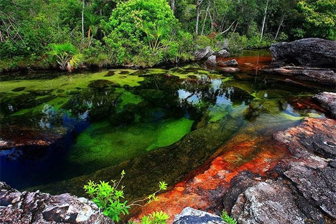 Một lần trong đời đến tham quan Caño Cristales, vẻ đẹp ngoạn mục, thảm màu sắc tuyệt đẹp của dòng sông chắc chắn sẽ không khiến bạn phải hối tiếc.