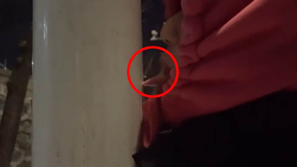 Nam sinh thử liếm cột sắt ở nhiệt độ âm 16 ° C và cái kết Nam sinh thu liem cot sat o nhiet do am 16 ° C va cai ket