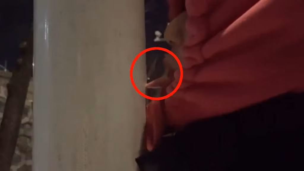 Nam sinh thu liem cot sat o nhiet do am 16 ° C va cai ket