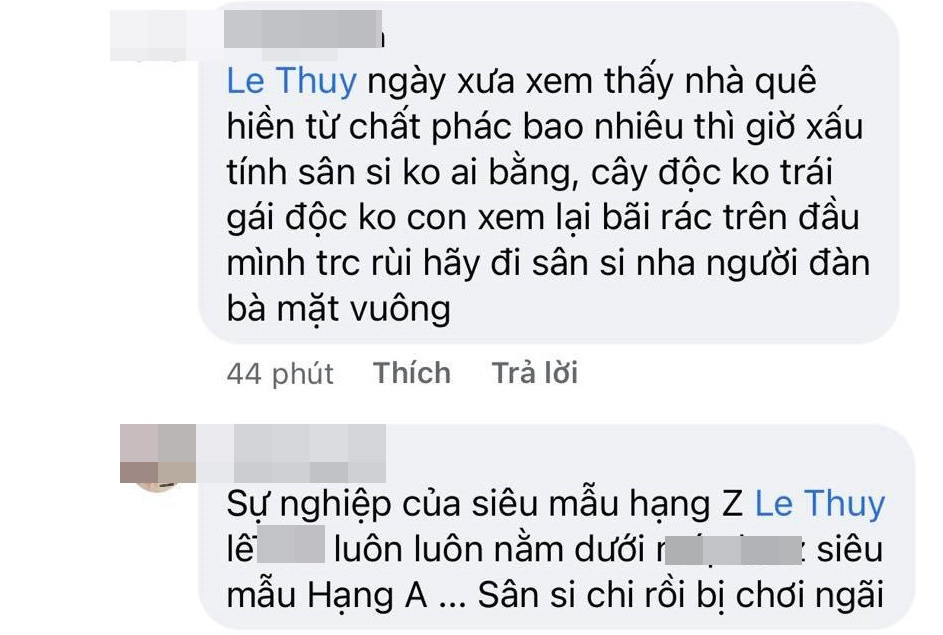 Le Thuy phan ung gay gat khi bi mia mai 