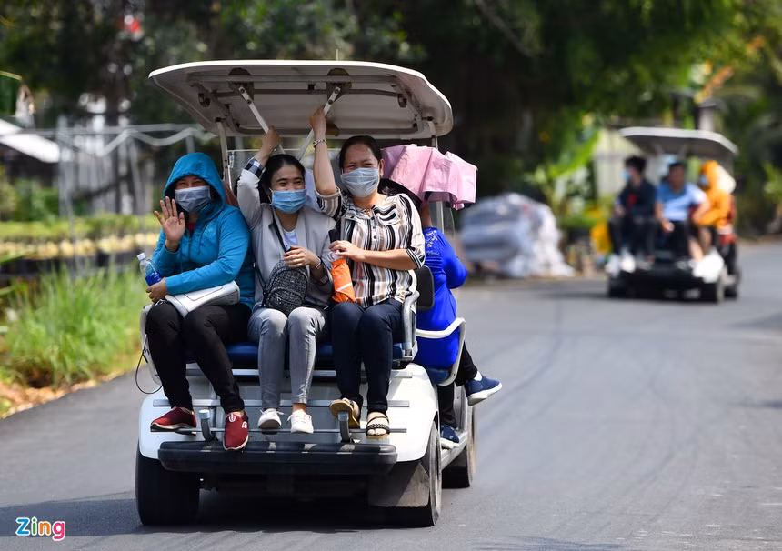 Từ sáng đến trưa 6/2 cả làng hoa chỉ có vài khách. Chiều cùng ngày có thêm một vài đoàn đến tham quan. Họ di chuyển nhanh bằng xe điện.