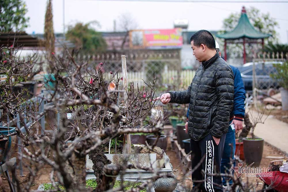 Dao That Thon vao ham dieu hoa cho Tet-Hinh-17