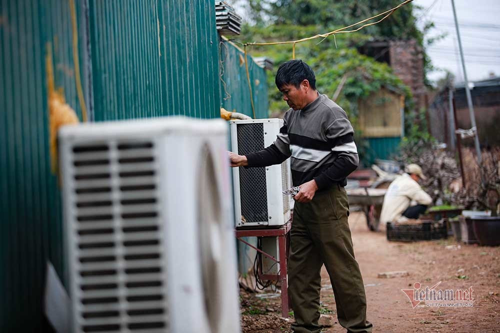 Dao That Thon vao ham dieu hoa cho Tet-Hinh-2