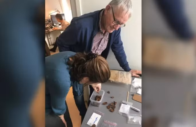 Do kim loai, dao duoc 