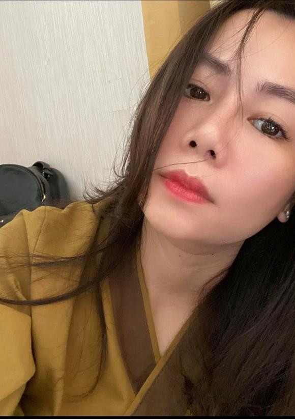 Ho Ngoc Ha dang hanh phuc, cuoc song cua vo dai gia kim cuong gio ra sao?-Hinh-12