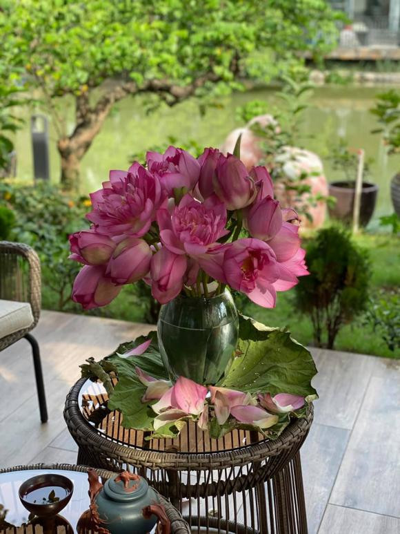 Ho Ngoc Ha dang hanh phuc, cuoc song cua vo dai gia kim cuong gio ra sao?-Hinh-9