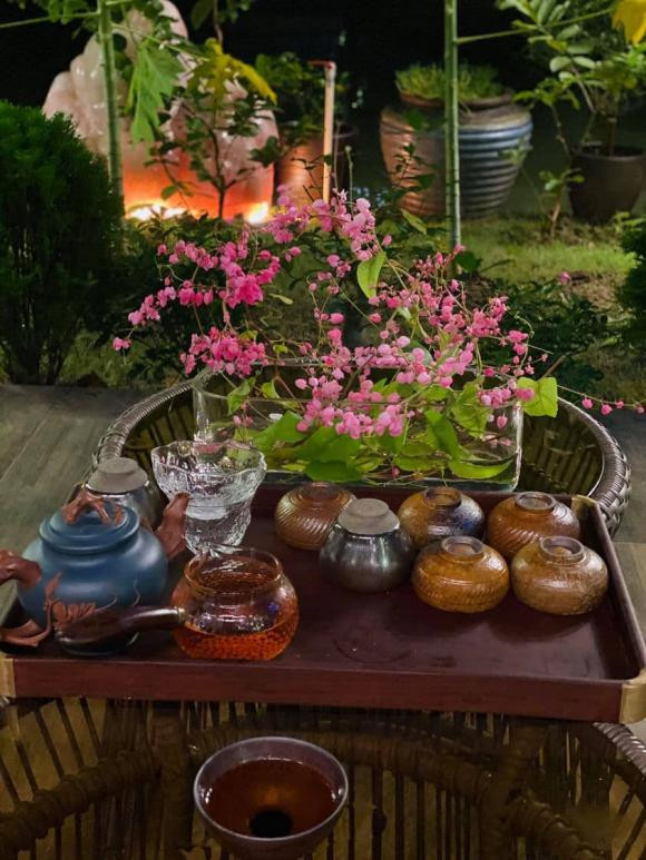 Ho Ngoc Ha dang hanh phuc, cuoc song cua vo dai gia kim cuong gio ra sao?-Hinh-8