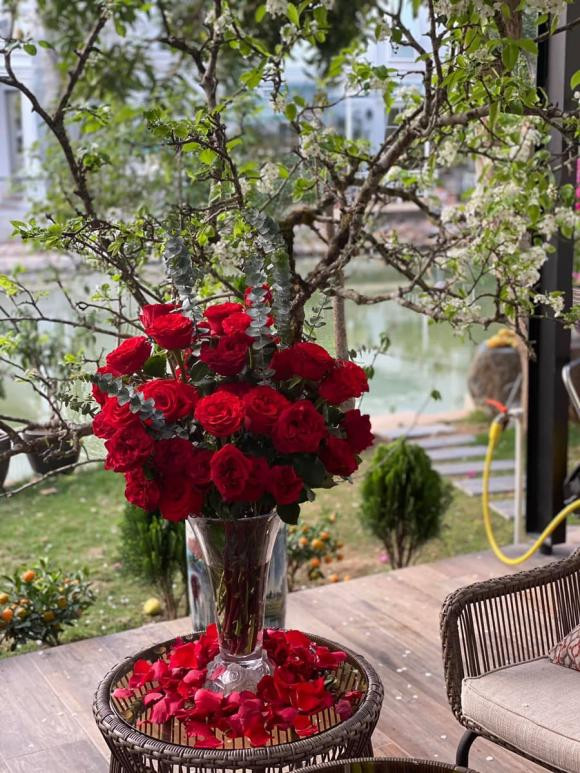 Ho Ngoc Ha dang hanh phuc, cuoc song cua vo dai gia kim cuong gio ra sao?-Hinh-11