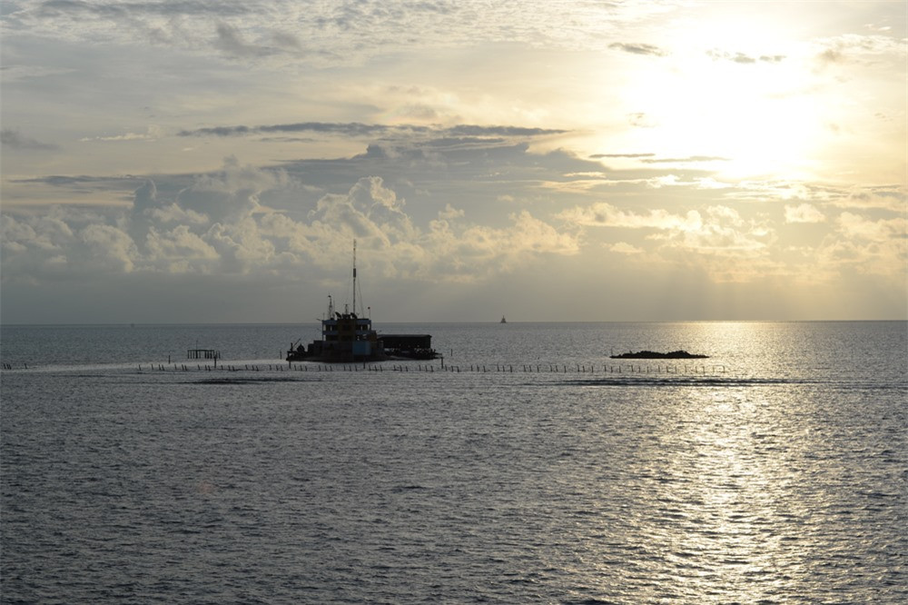 Trầm mặc giữa sớm nắng chói chang.