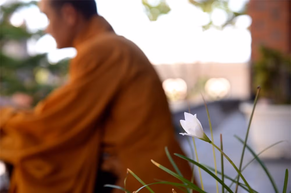 Hoa trong chùa trên đảo Sinh Tồn