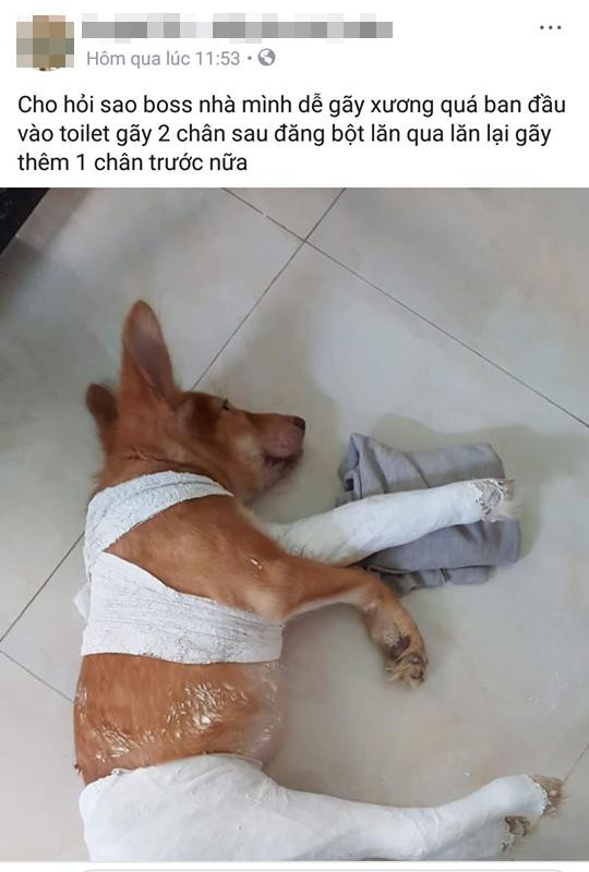 Nghĩ nó chán. Cẩn thận không gãy nốt chân kia đó boss à!